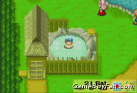 Harvest Moon: Friends of Mineral Town
