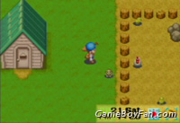 Harvest Moon: Friends of Mineral Town