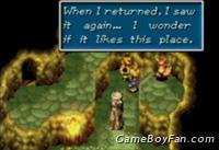 Golden Sun