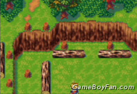 Golden Sun Golden Sun