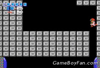 Metroid