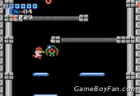 Metroid